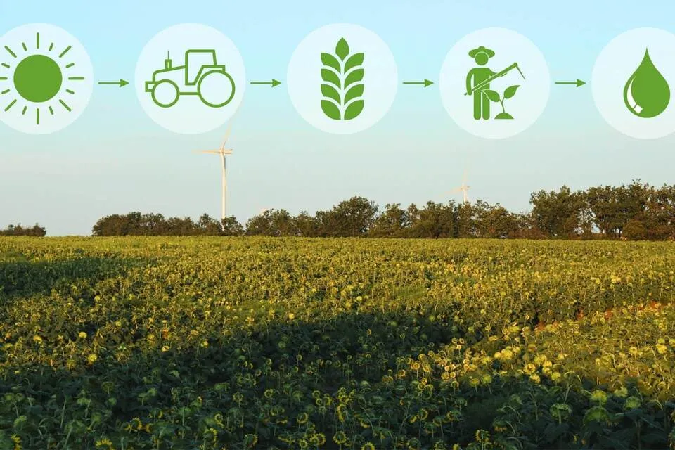 Field Application